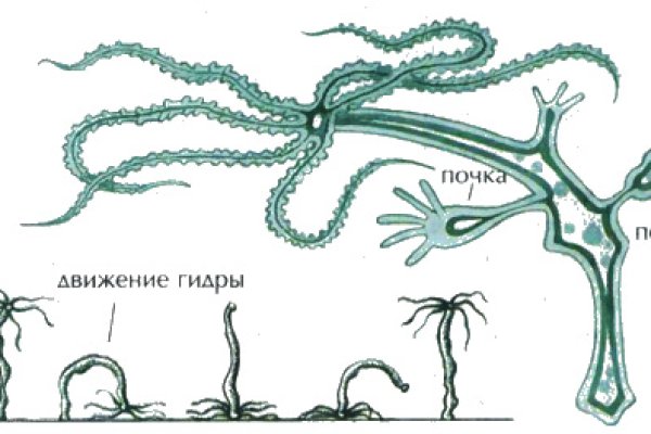 Ссылка на кракен лукойл