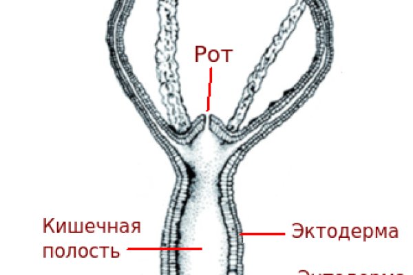 Kraken в россии