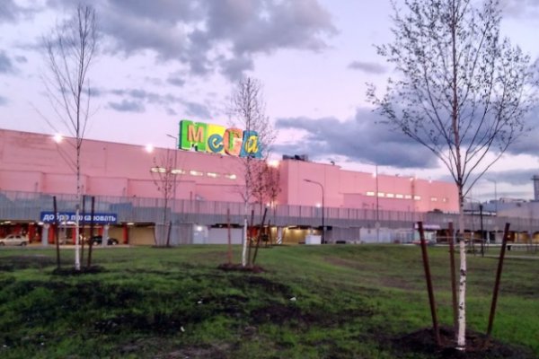Ссылка в даркнет