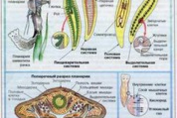 Кракен ссылки тор рабочая